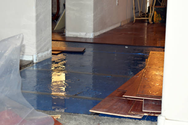 Professional Burst Pipe Water Damage technician working in Riverview, MO